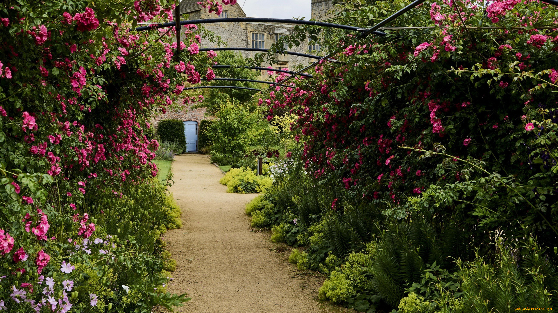 англия, цветы, цветущие, деревья, , , кустарники, здания, растение