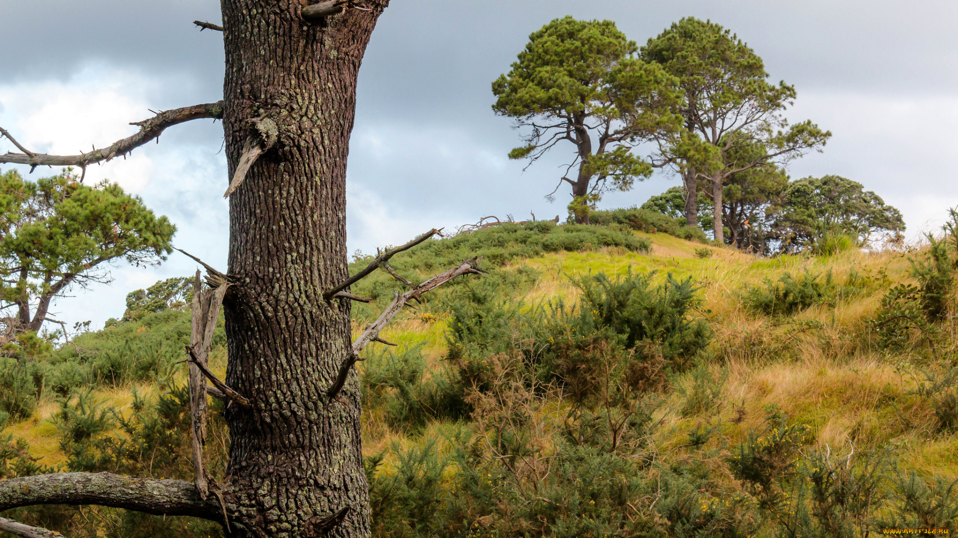 природа, пейзажи, простор