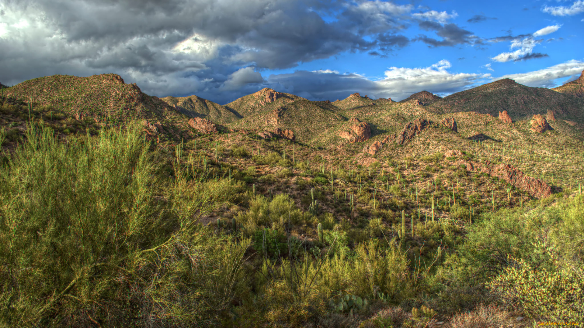 природа, пустыни, простор