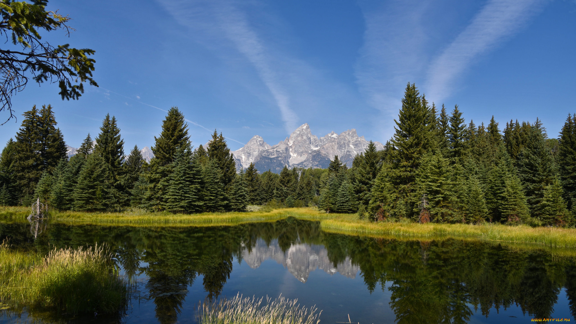 природа, реки, озера, лес, река