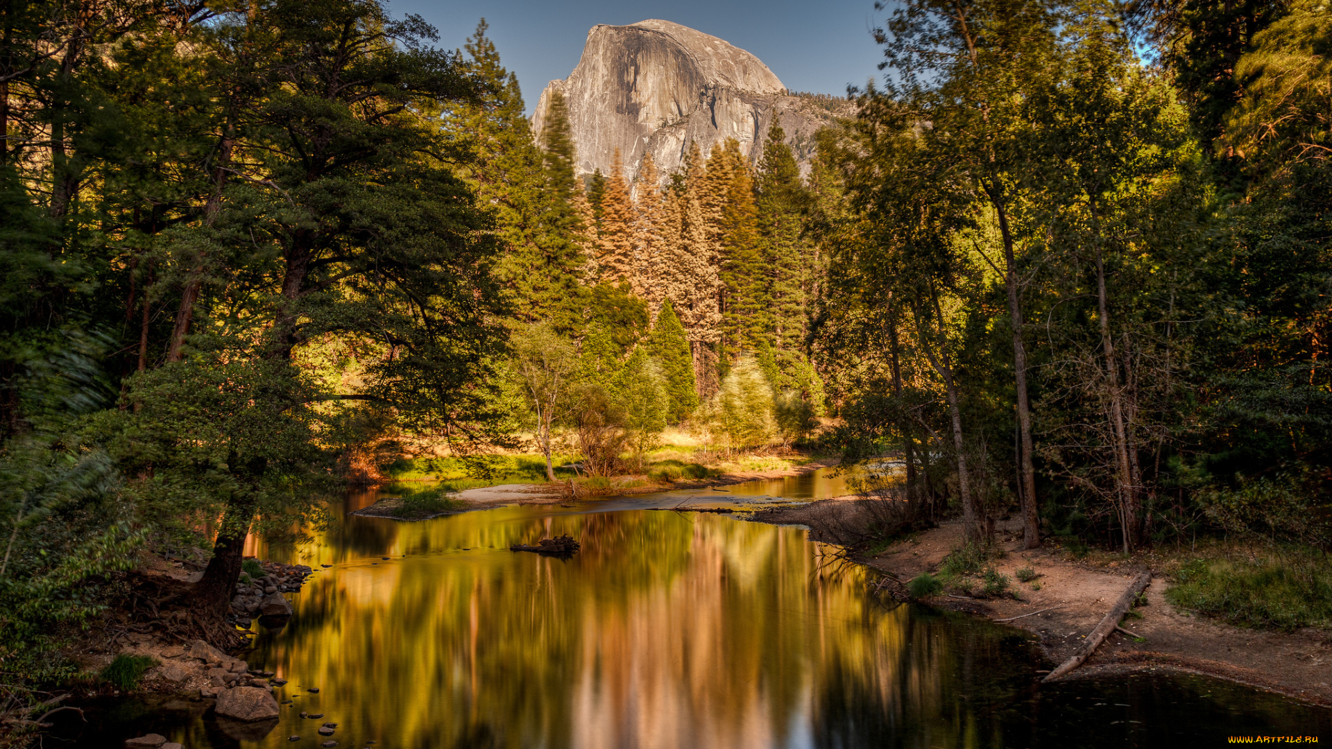 природа, реки, озера, лес, река