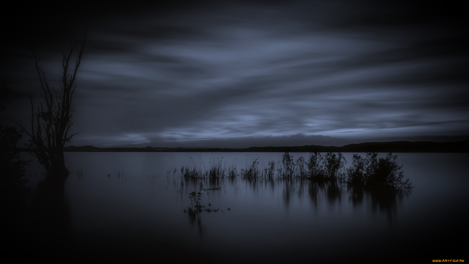 природа, реки, озера, озеро, ночь, тростник, облака