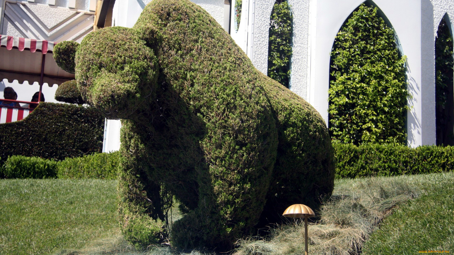 разное, садовые, и, парковые, скульптуры, фигура, медведь