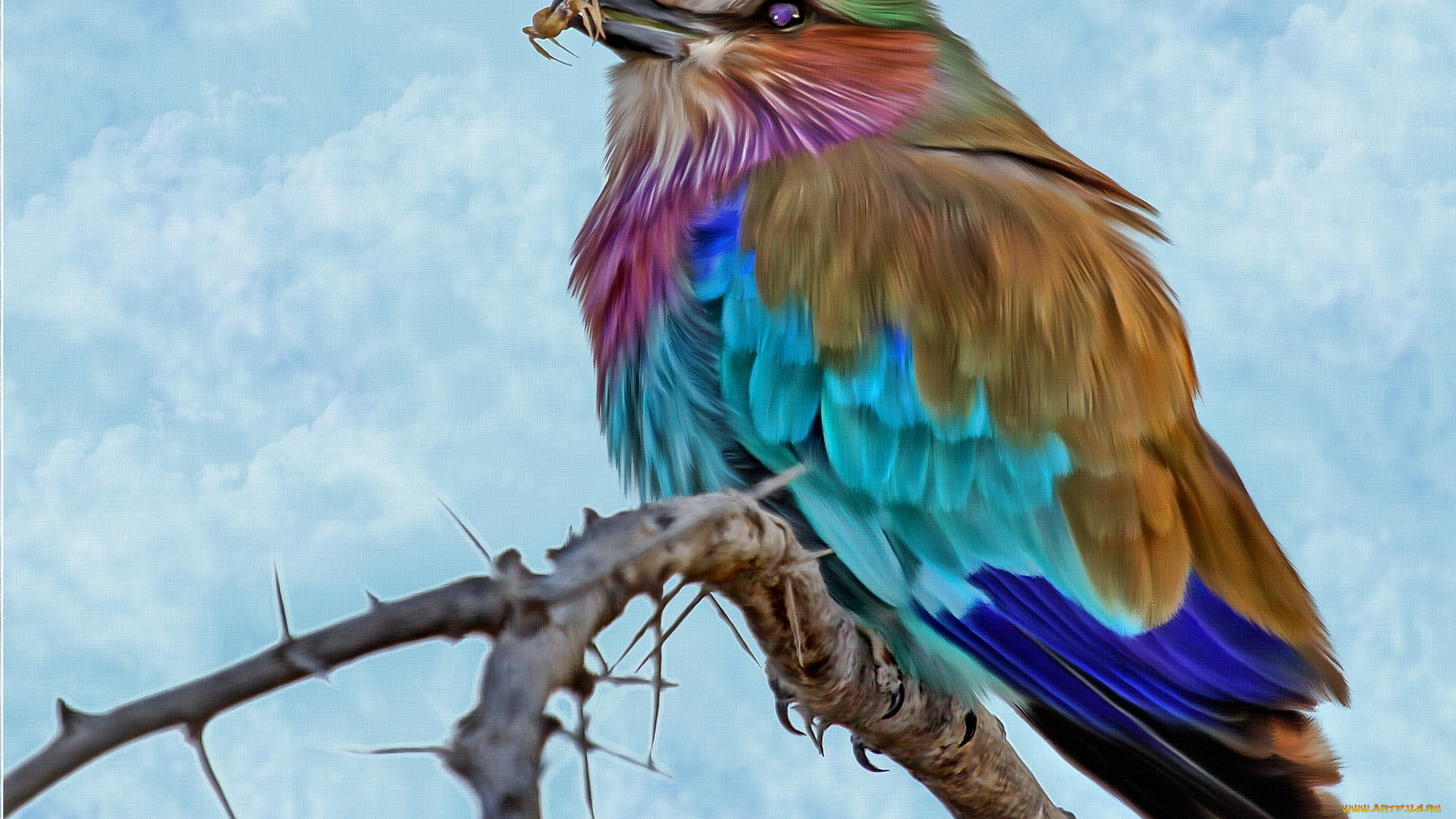 рисованное, животные, , птицы, насекомое, ветка