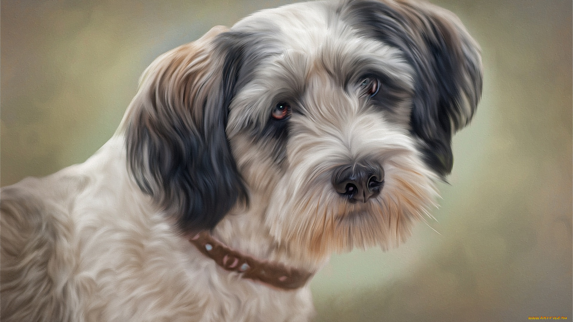 рисованное, животные, , собаки, ошейник