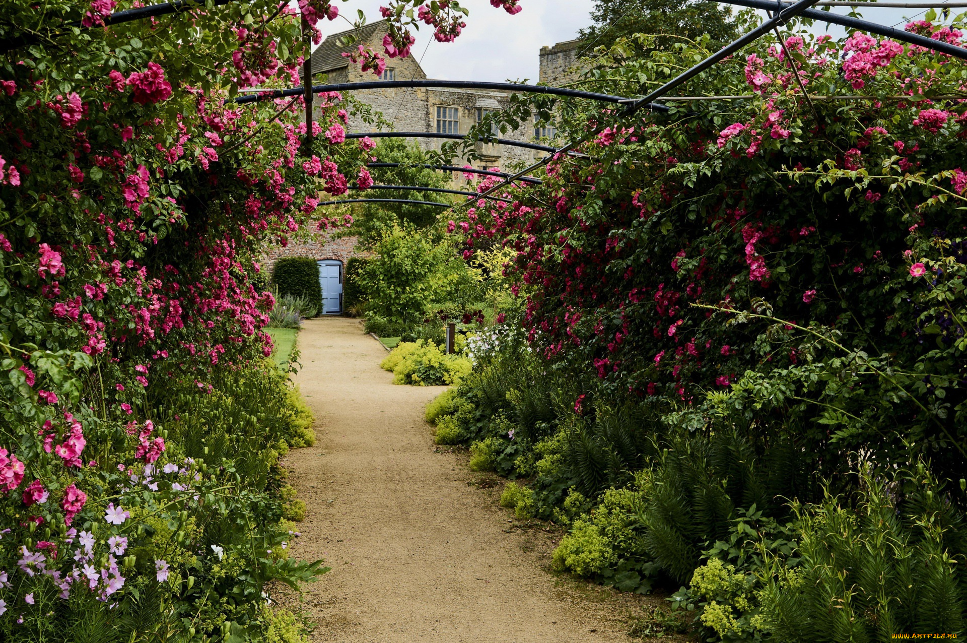 англия, цветы, цветущие, деревья, , , кустарники, здания, растение