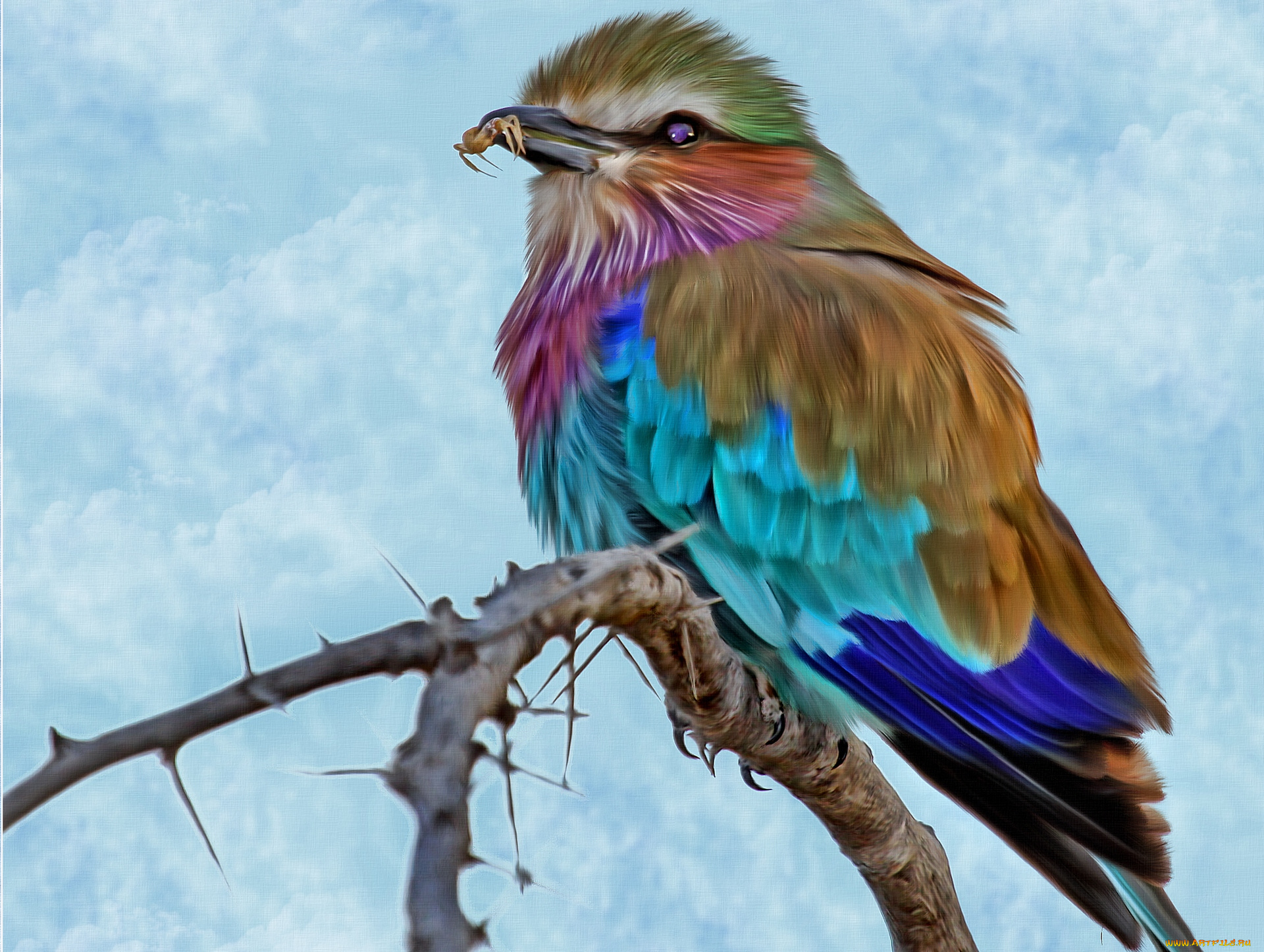 рисованное, животные, , птицы, насекомое, ветка