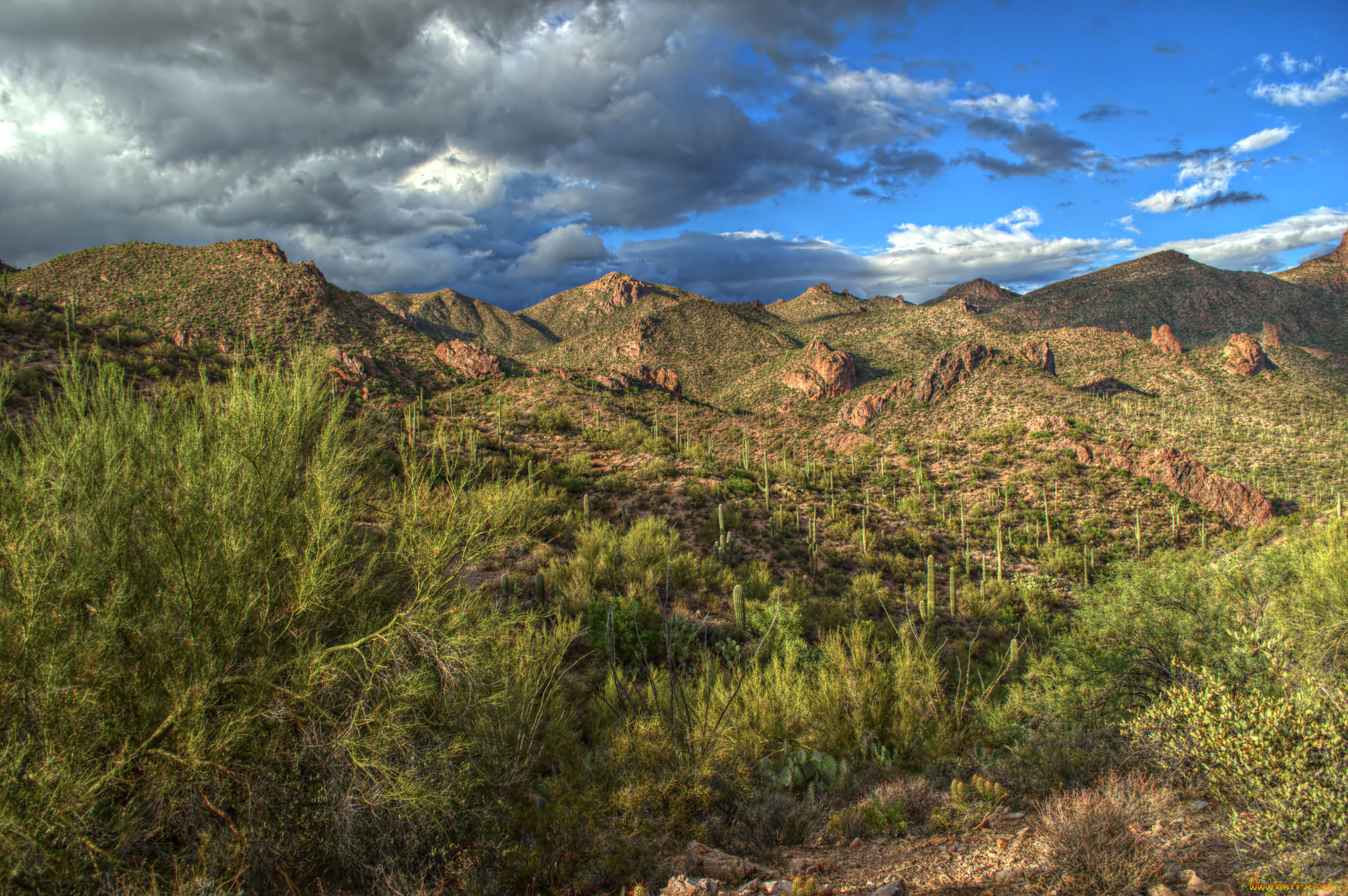 природа, пустыни, простор