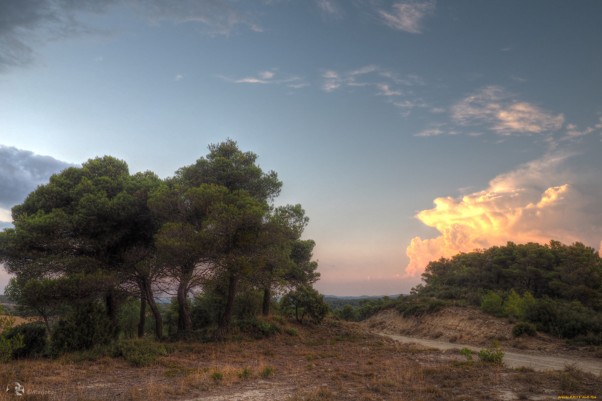 природа, пейзажи, простор