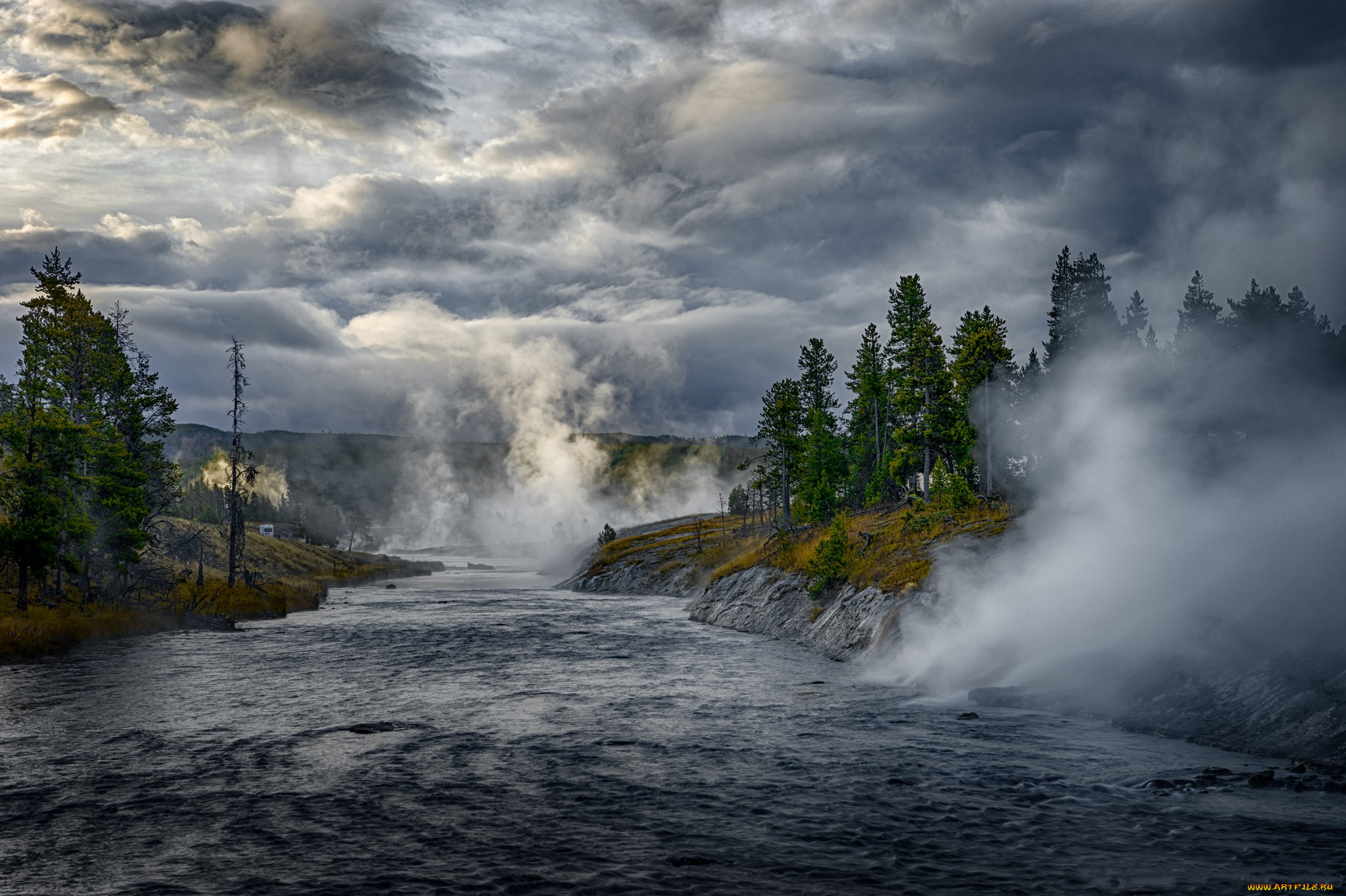 природа, реки, озера, лес, река