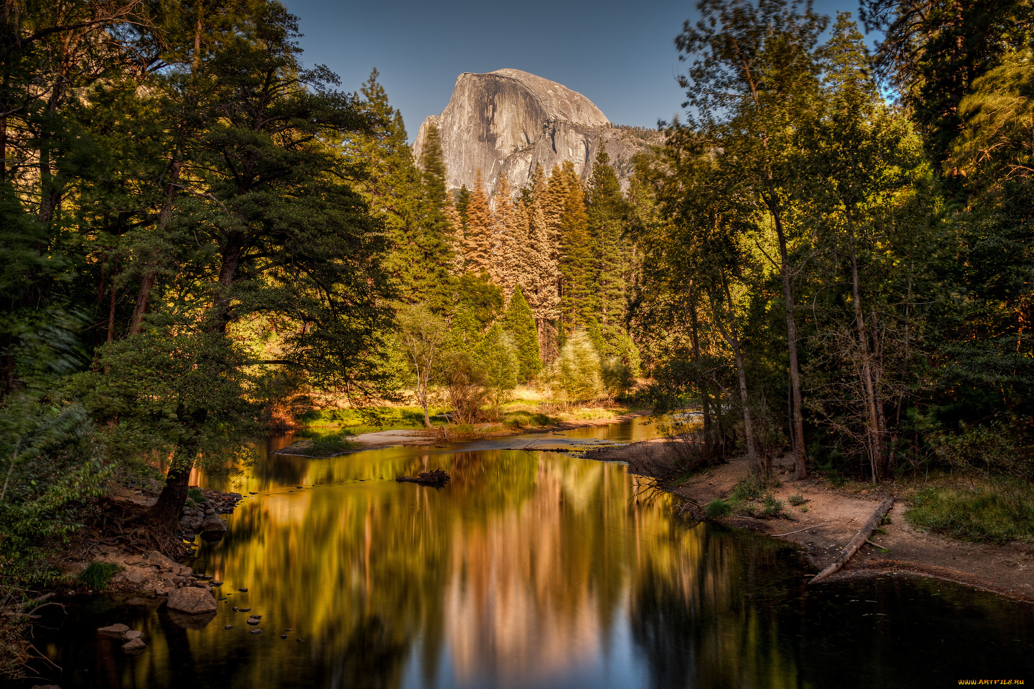 природа, реки, озера, лес, река