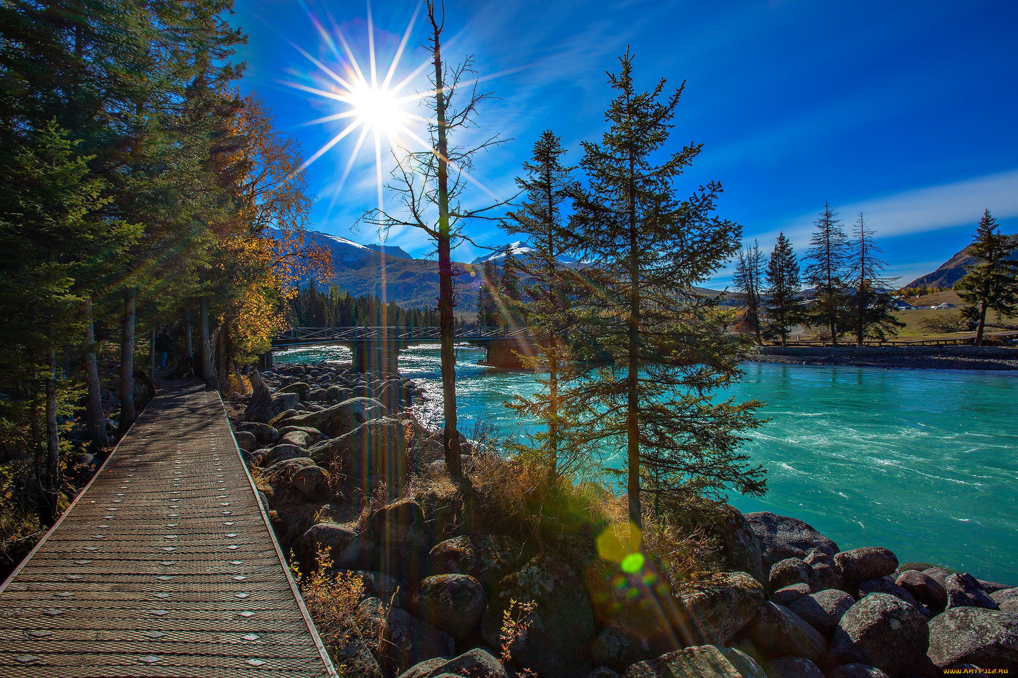 природа, реки, озера, лес, река