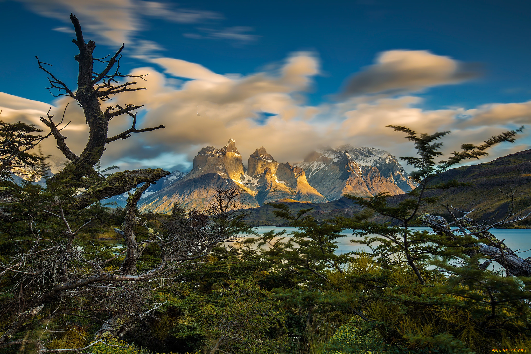 природа, реки, озера, река, лес