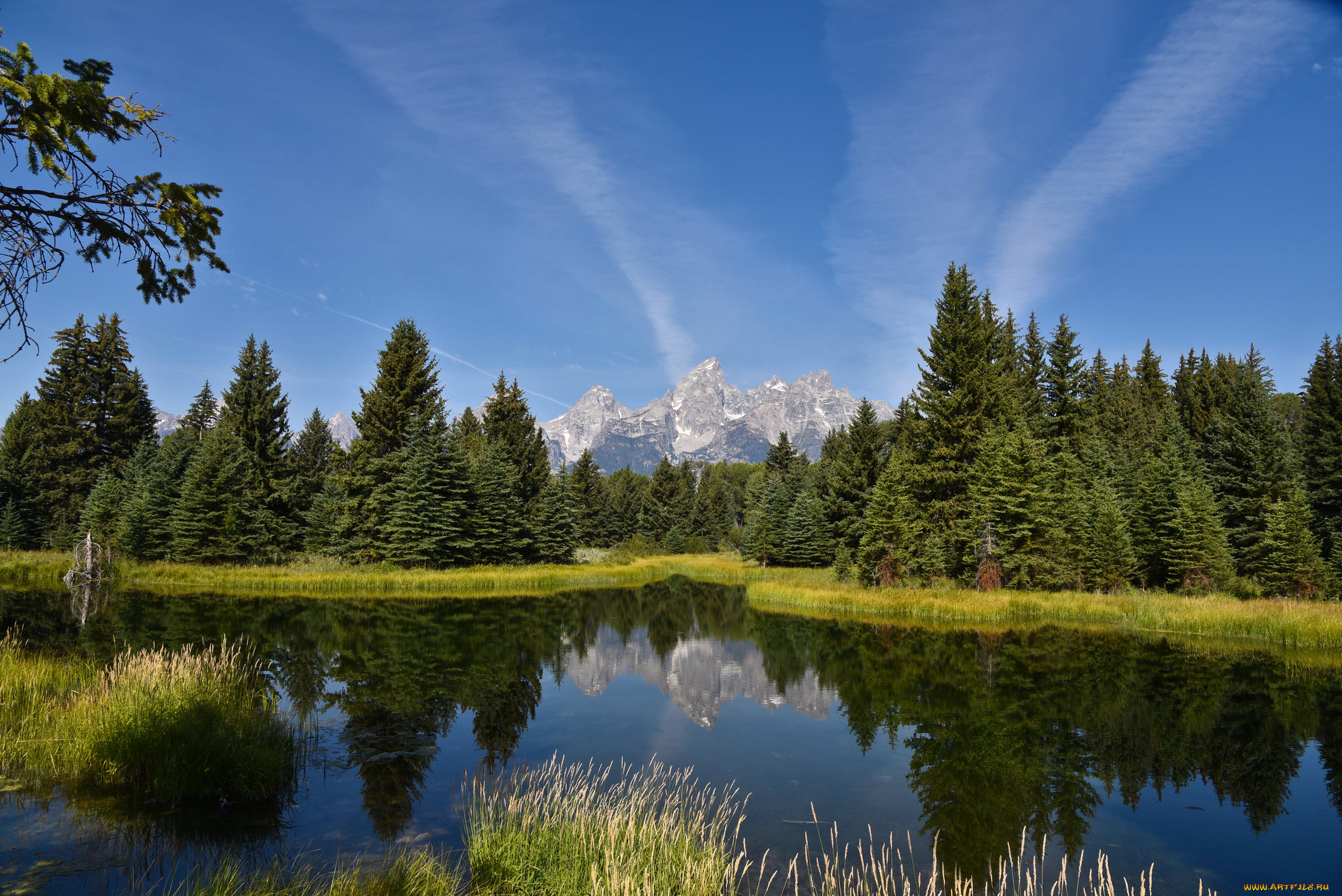 природа, реки, озера, лес, река