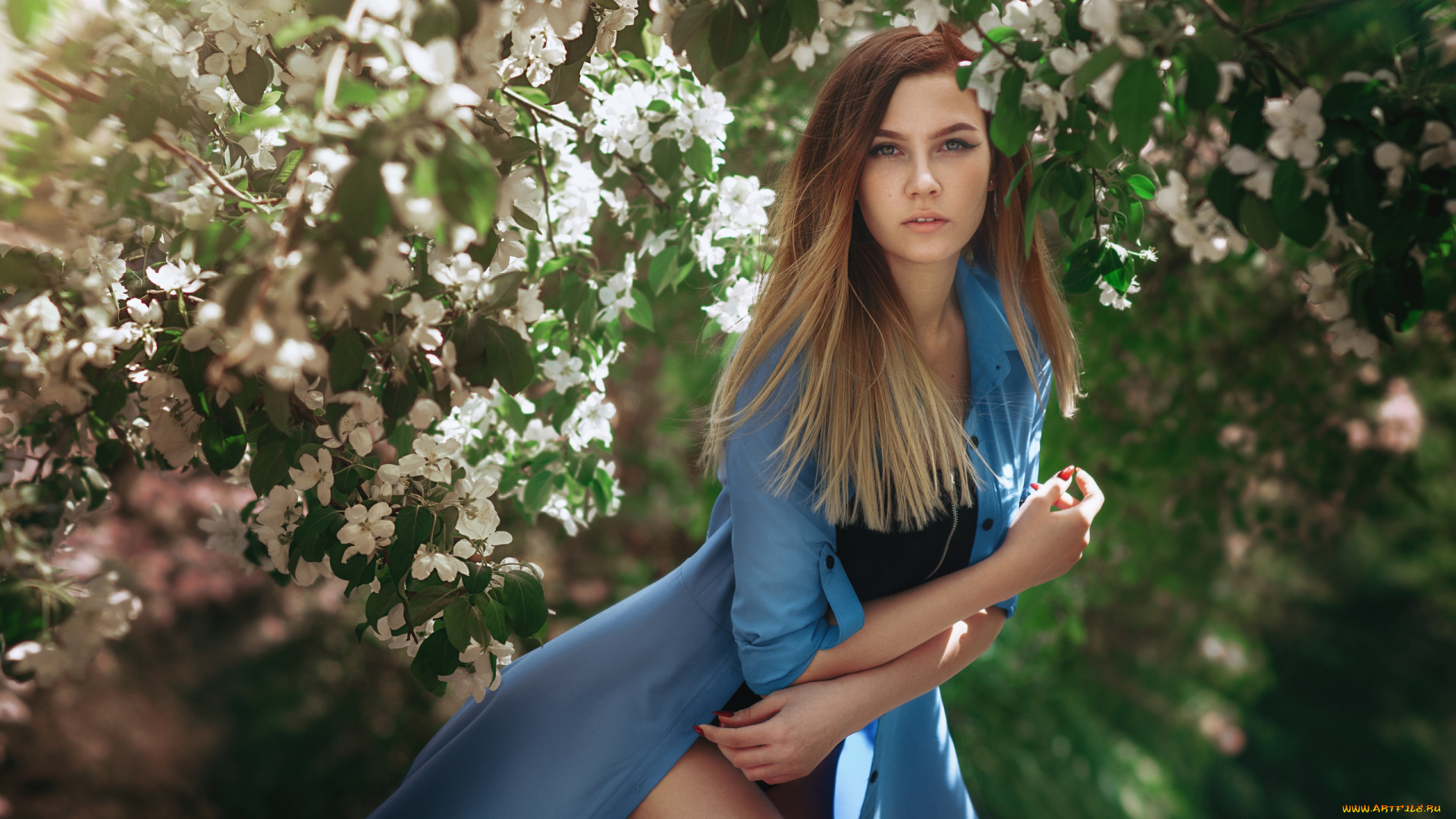 девушка, девушки, -unsort, , блондинки, , светловолосые, модель