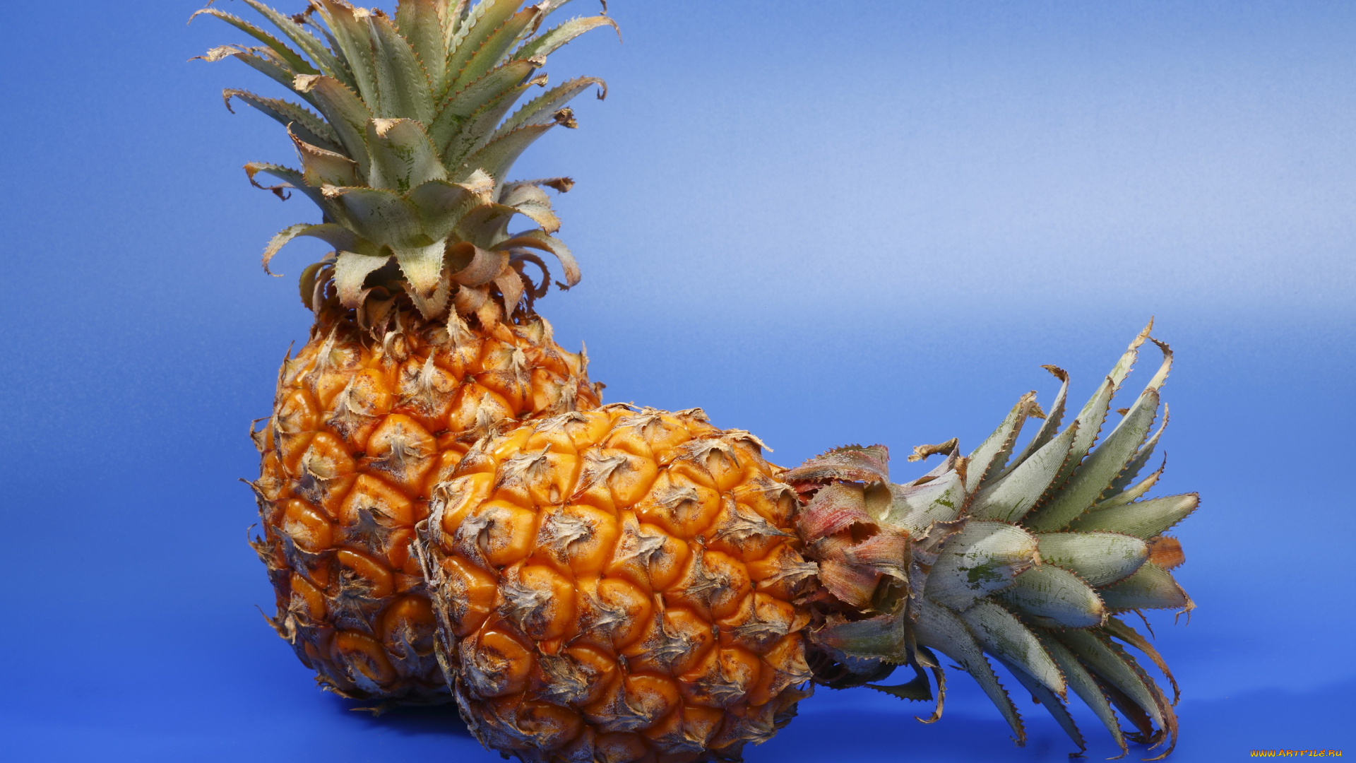 еда, ананас, снедь