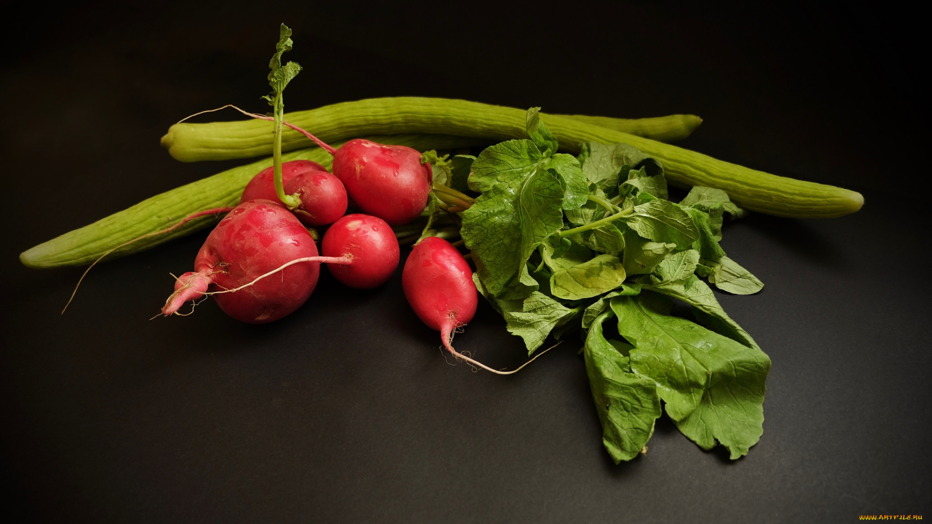 еда, редис, , репа, , редька, снедь