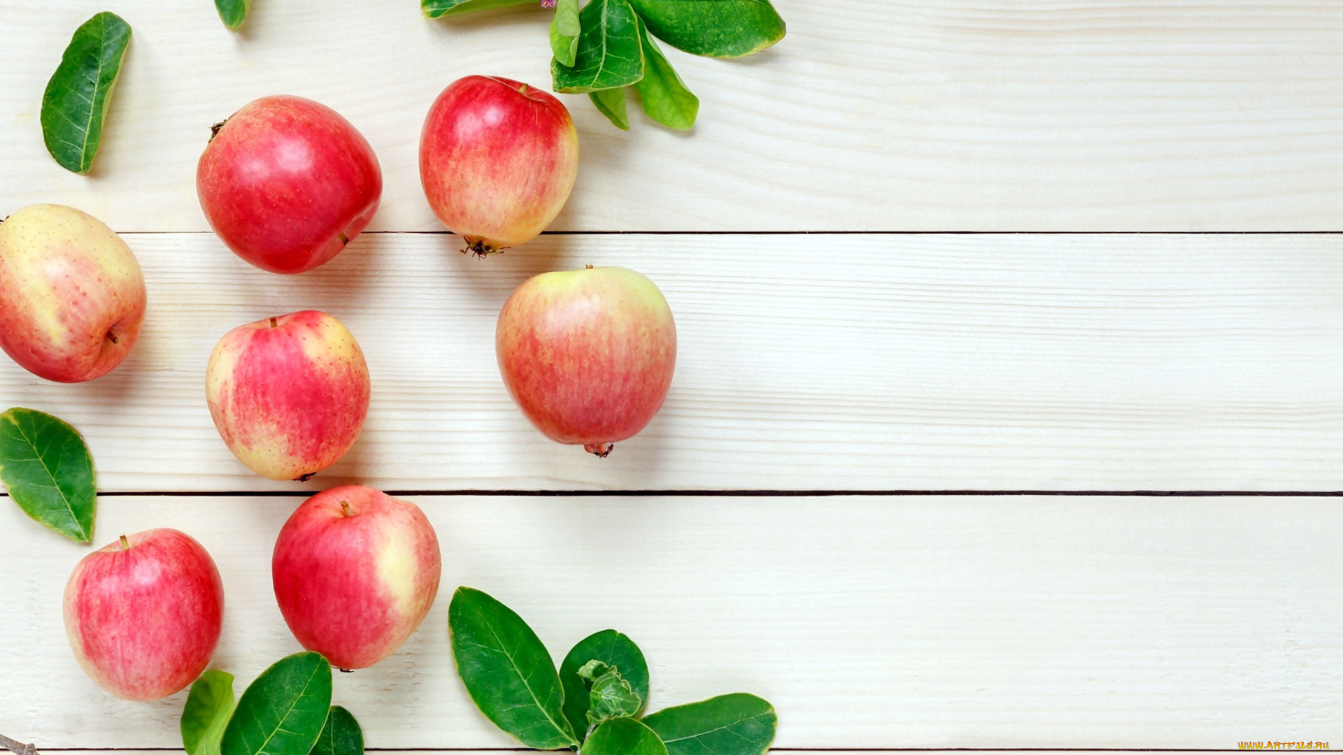 еда, Яблоки, яблоки, фрукты