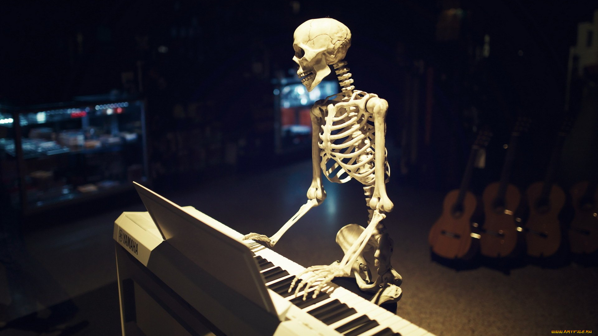 музыка, -музыкальные, инструменты, скелет, гитара, инструмент, помещение