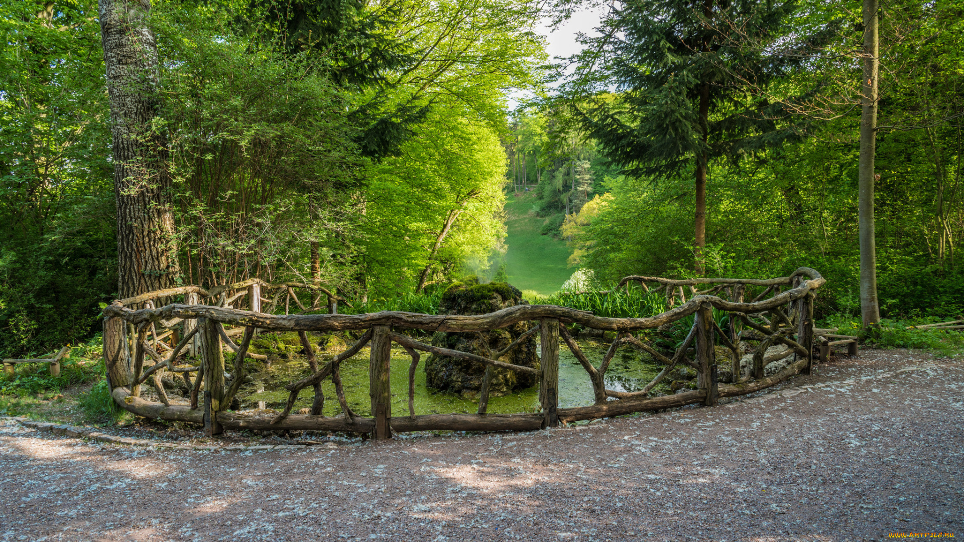 природа, дороги, простор