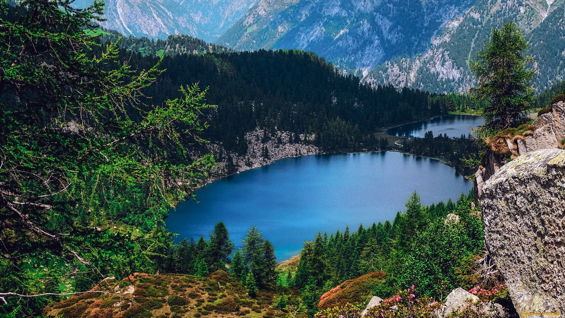 природа, реки, озера, озеро