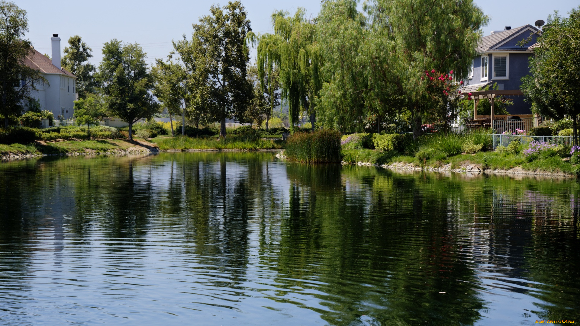 природа, реки, озера, пруд