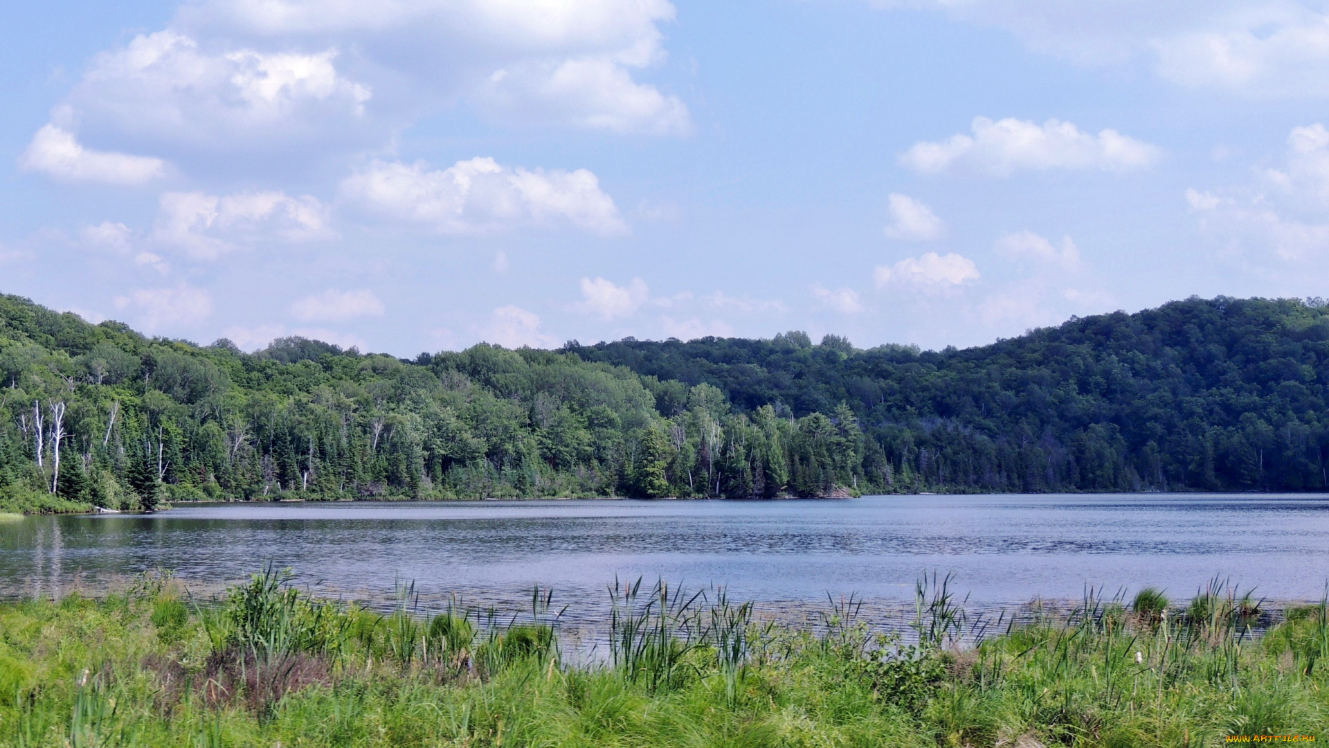 природа, реки, озера, река