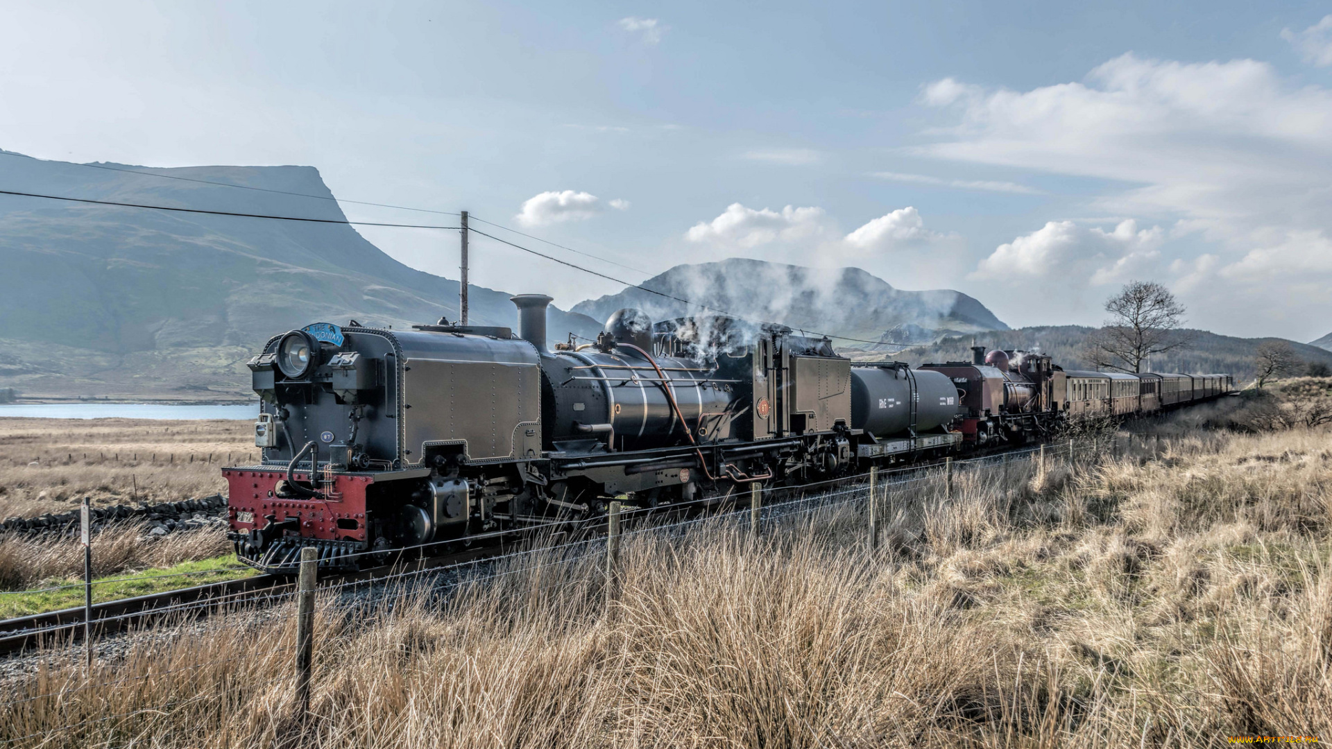 техника, паровозы, локомотив, состав