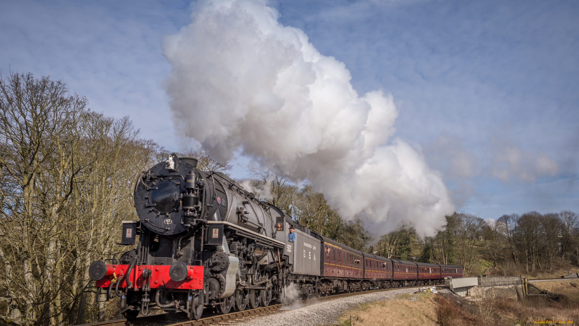 техника, паровозы, локомотив, состав