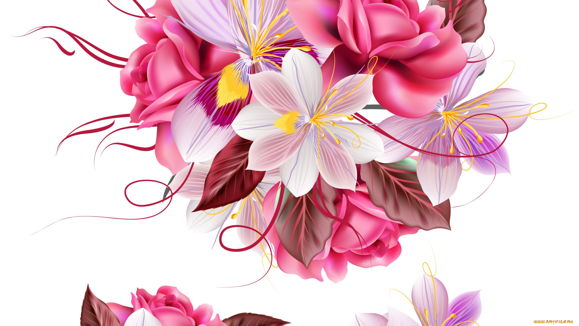 векторная, графика, цветы, , flowers, цветы, текстура, белый, фон