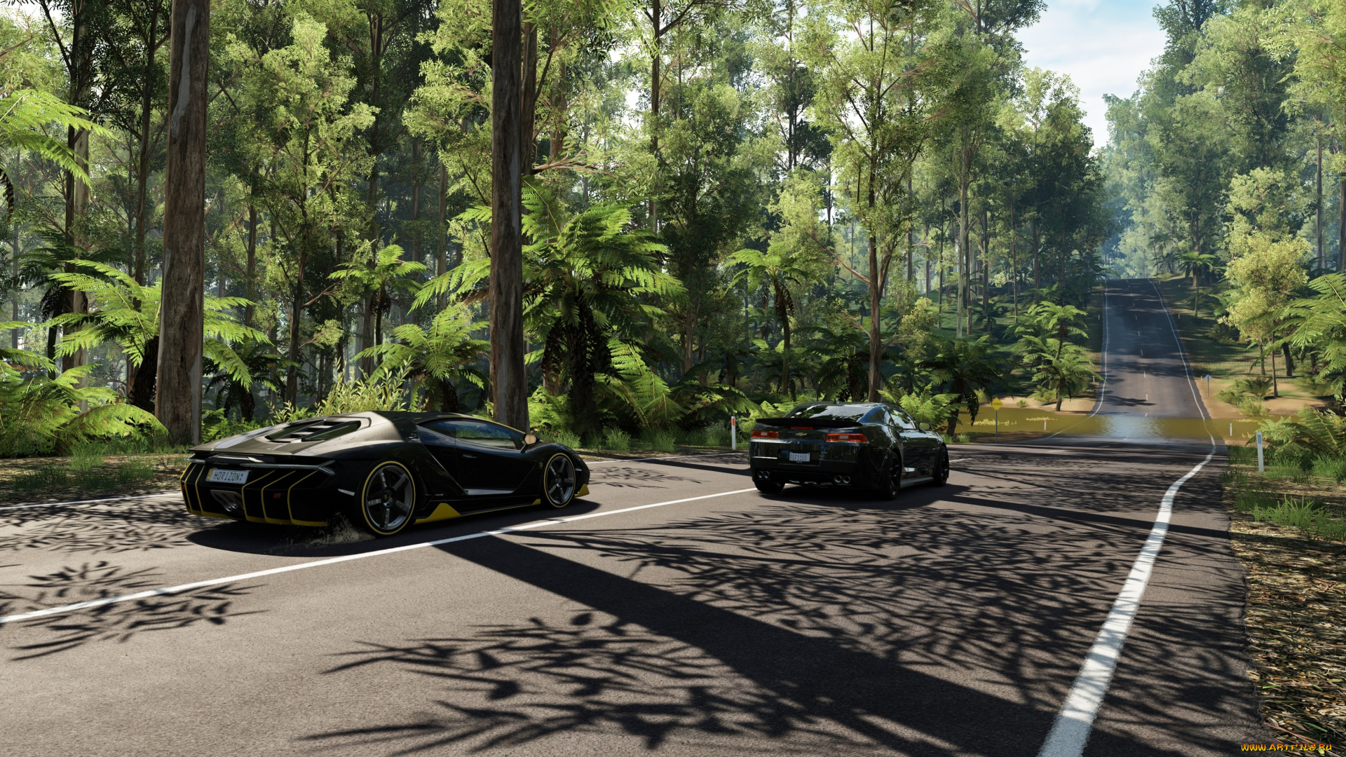 видео, игры, forza, horizon, 3, forza, horizon, 3