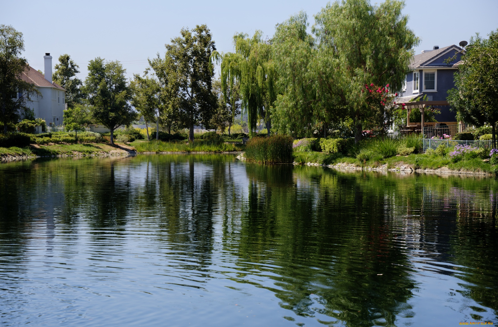 природа, реки, озера, пруд