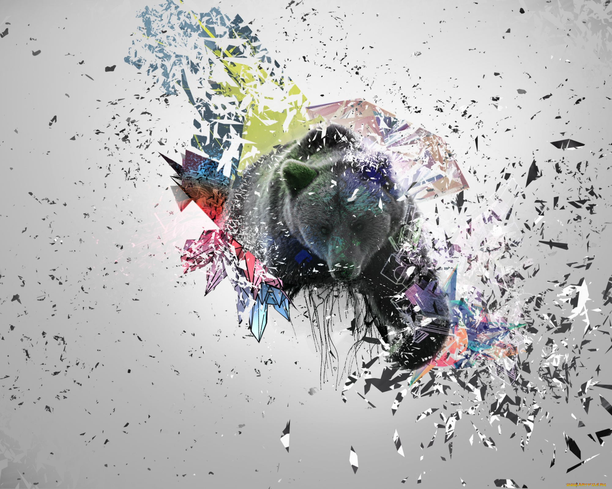 разное, компьютерный, дизайн, осколки, красиво, абстракция, медведь