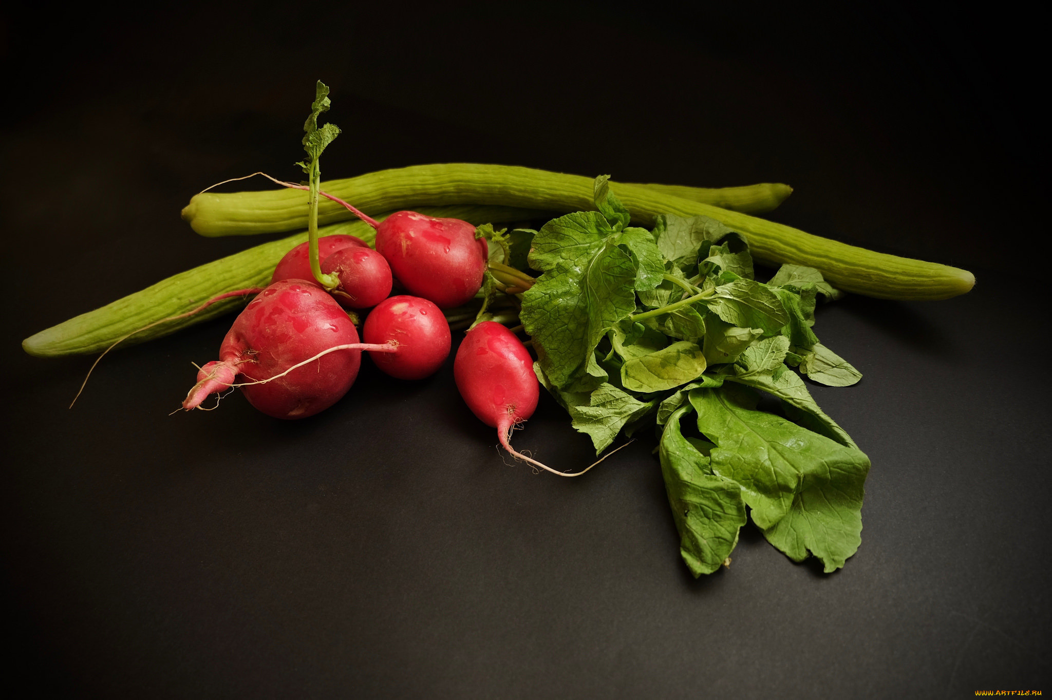 еда, редис, , репа, , редька, снедь
