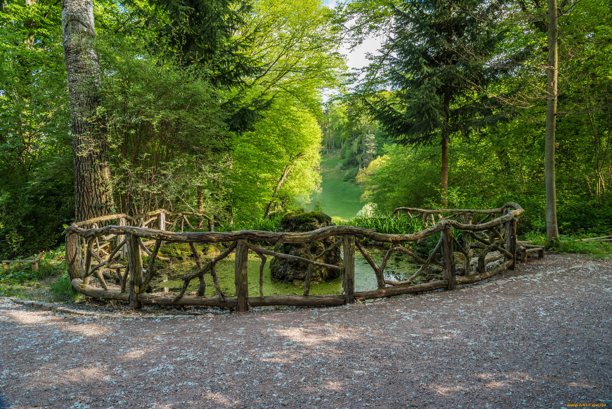 природа, дороги, простор