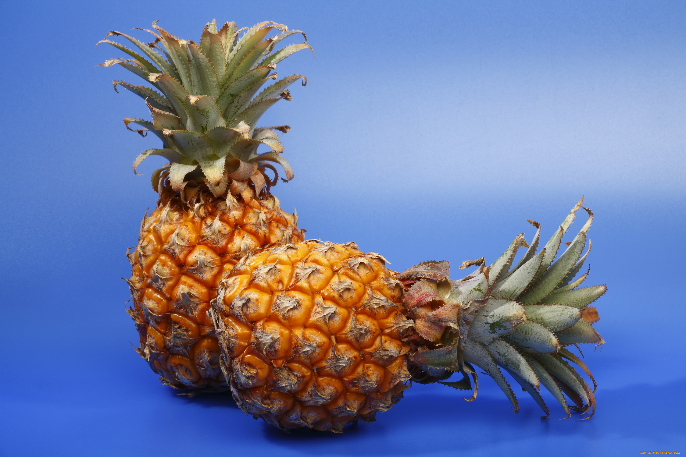 еда, ананас, снедь