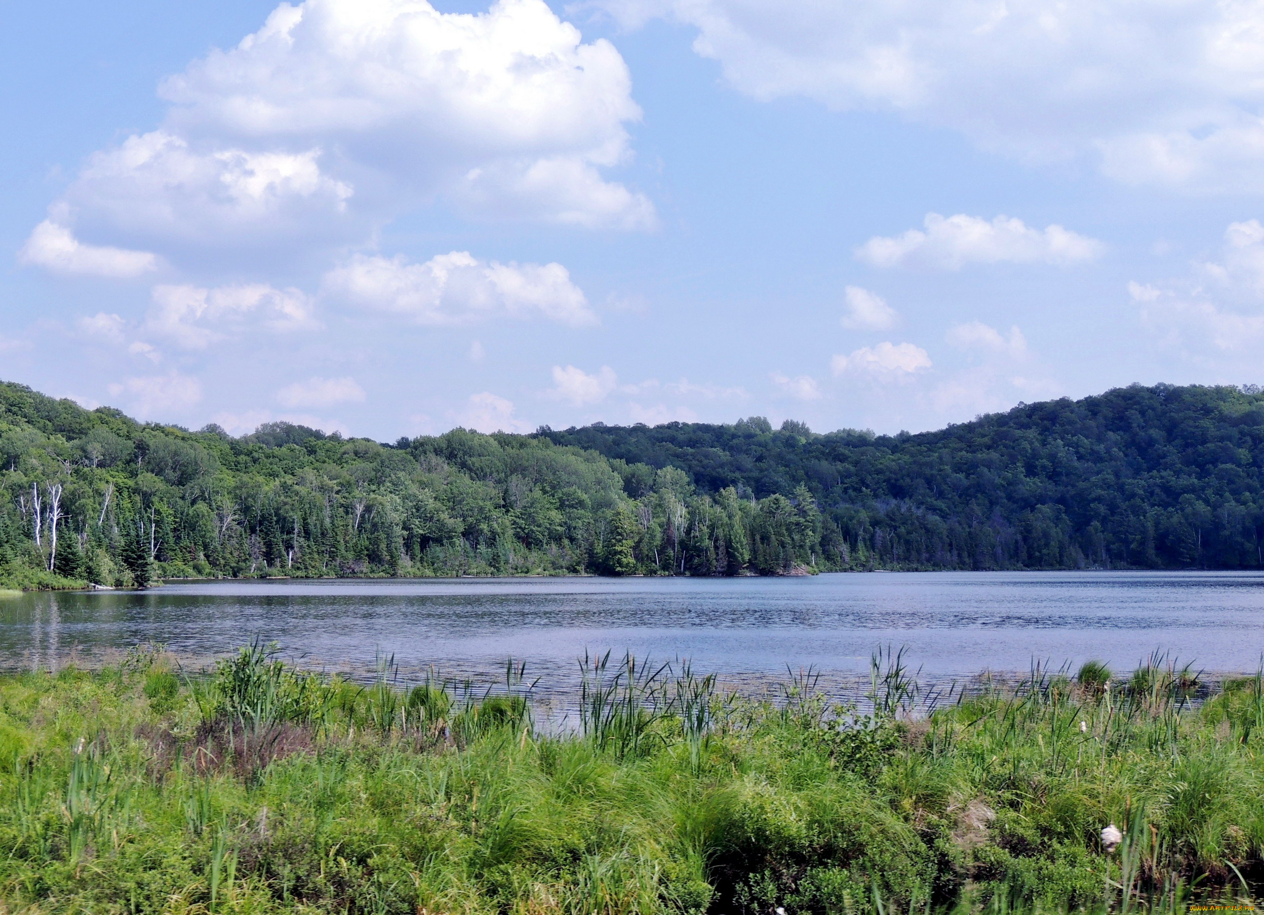 природа, реки, озера, река