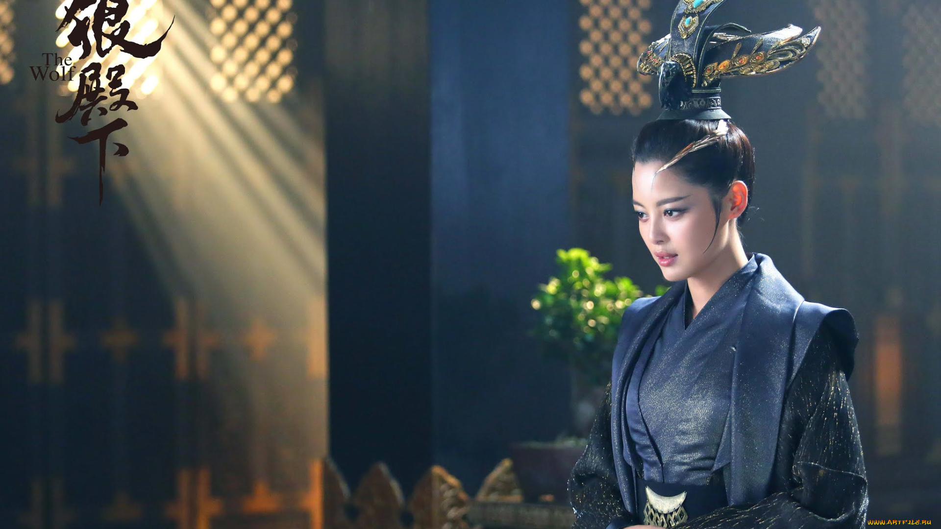 кино, фильмы, the, wolf, женщина, зал