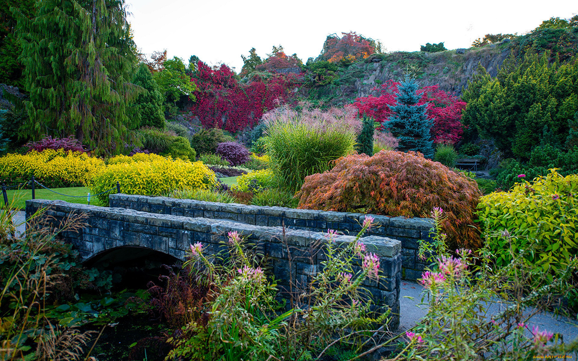 природа, парк, водоем, мостик