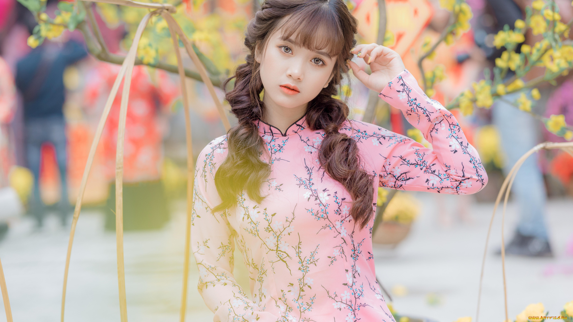 девушки, -, азиатки, artist, long, phung, брюнетки, азиатка, девушка