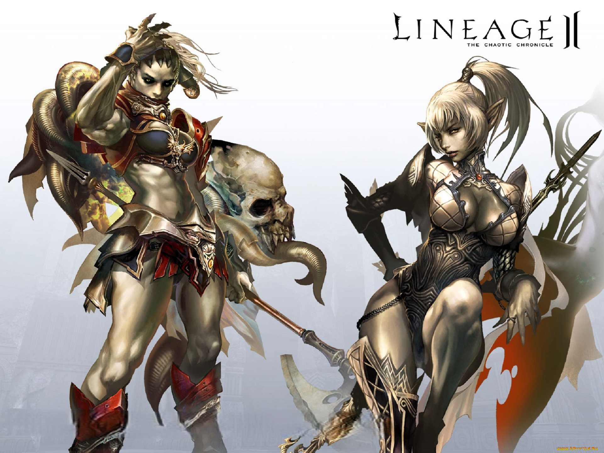 видео, игры, lineage, ii, , the, chaotic, chronicle, девушки, эльфийки, оружие, череп
