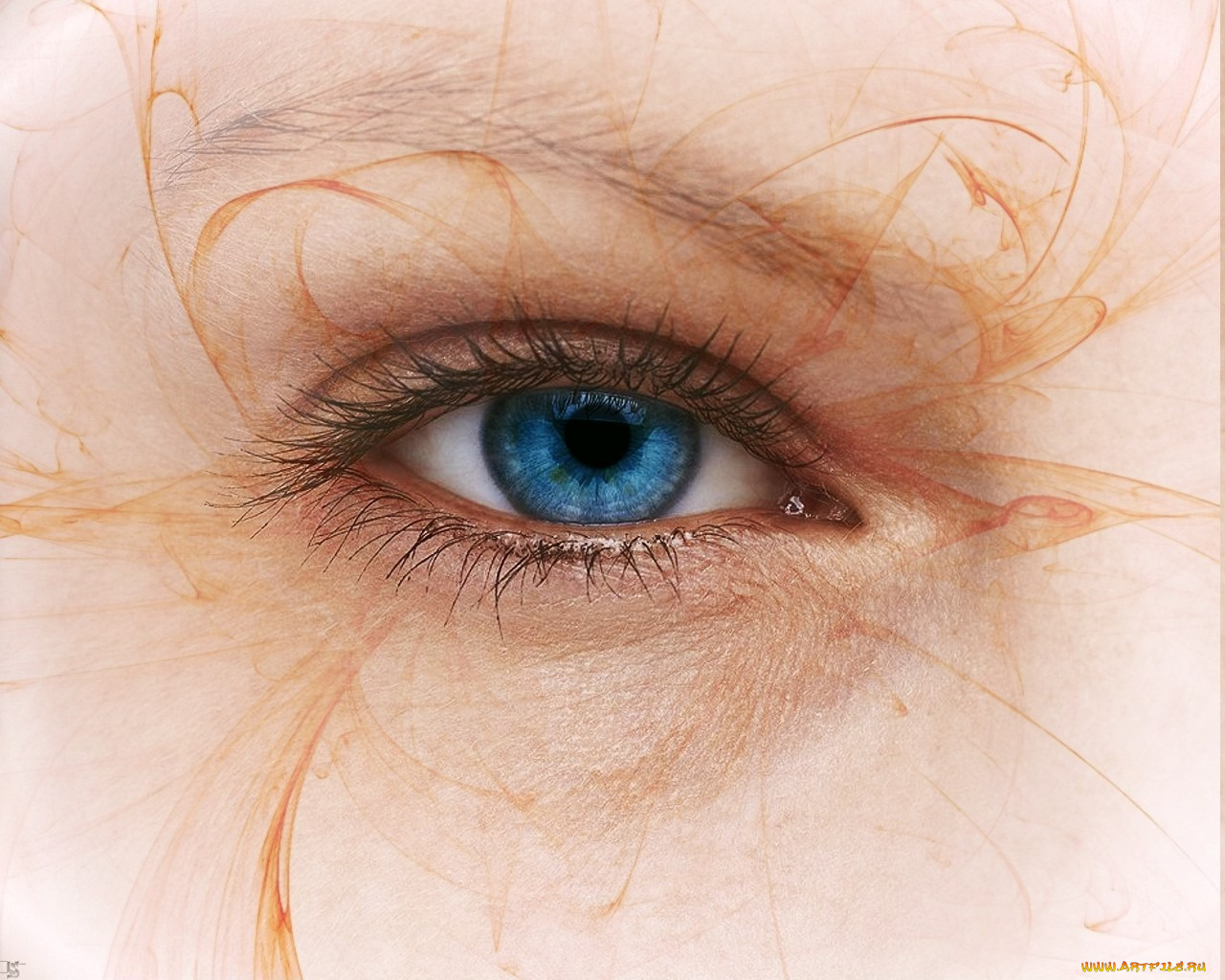 разное, глаза