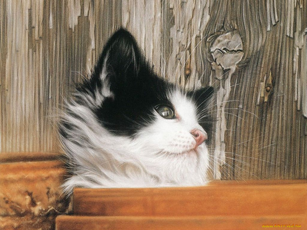 рисованные, животные