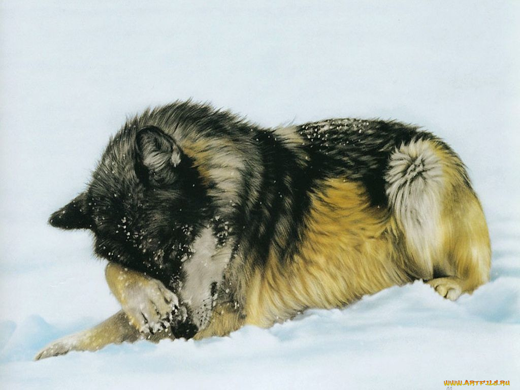 рисованные, животные