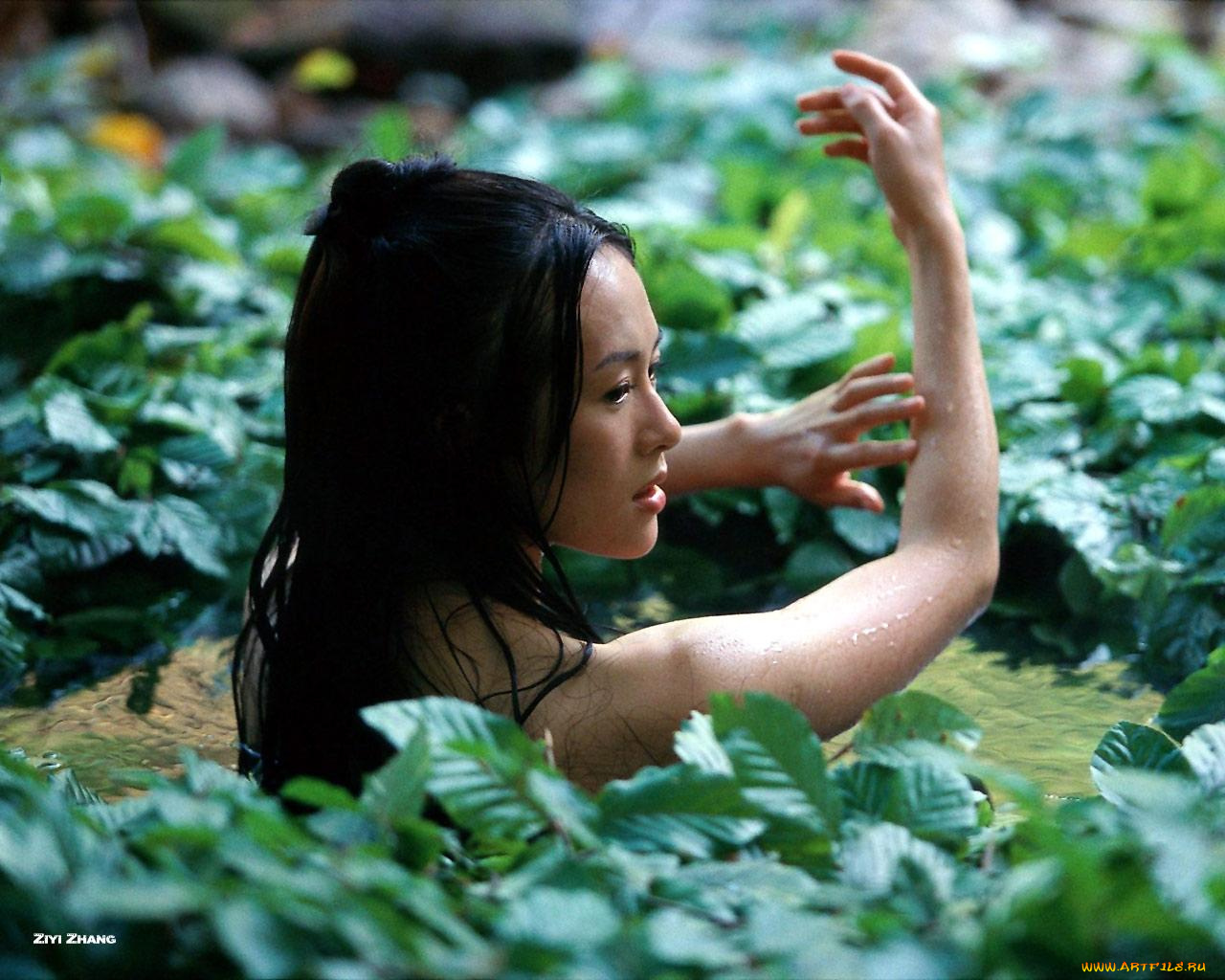 house, of, flying, daggers, кино, фильмы