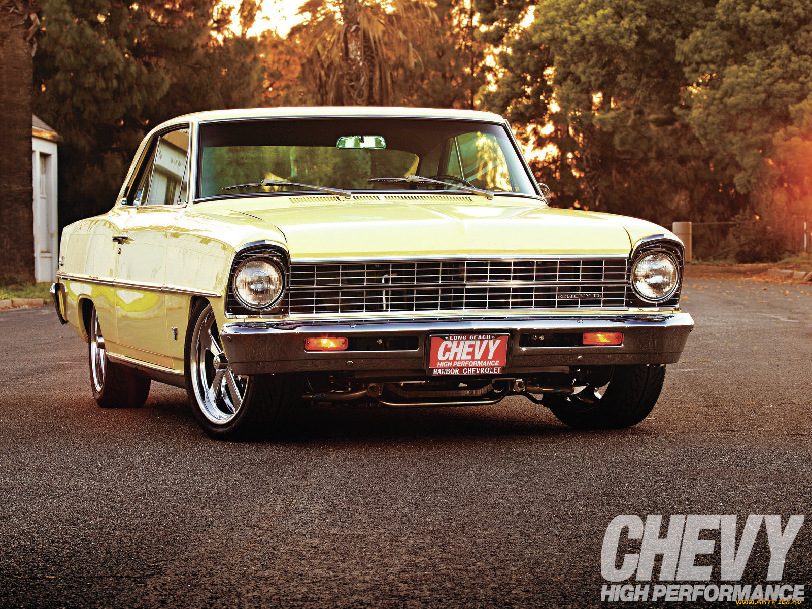 1967, chevrolet, nova, автомобили