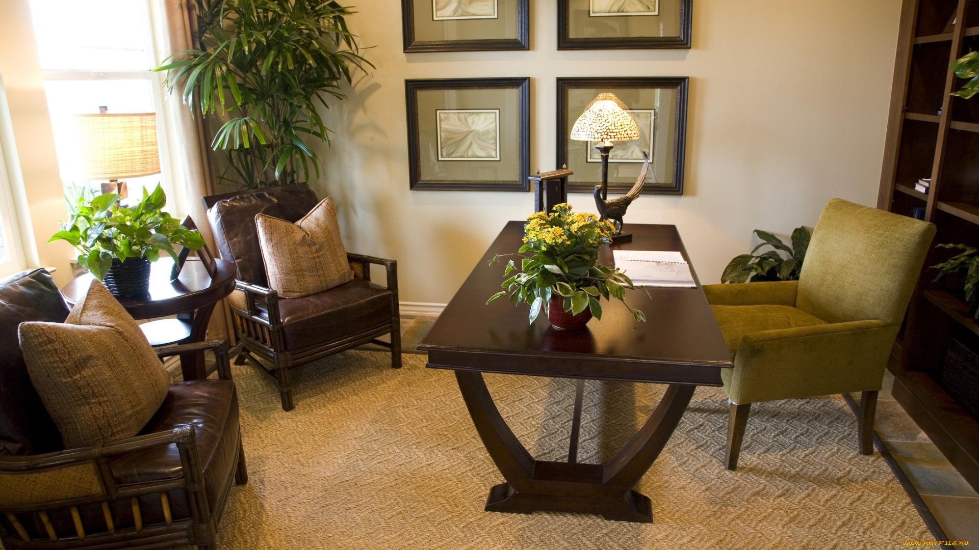 интерьер, кабинет, библиотека, офис, вазон, кресла, шкаф, стол, подушки