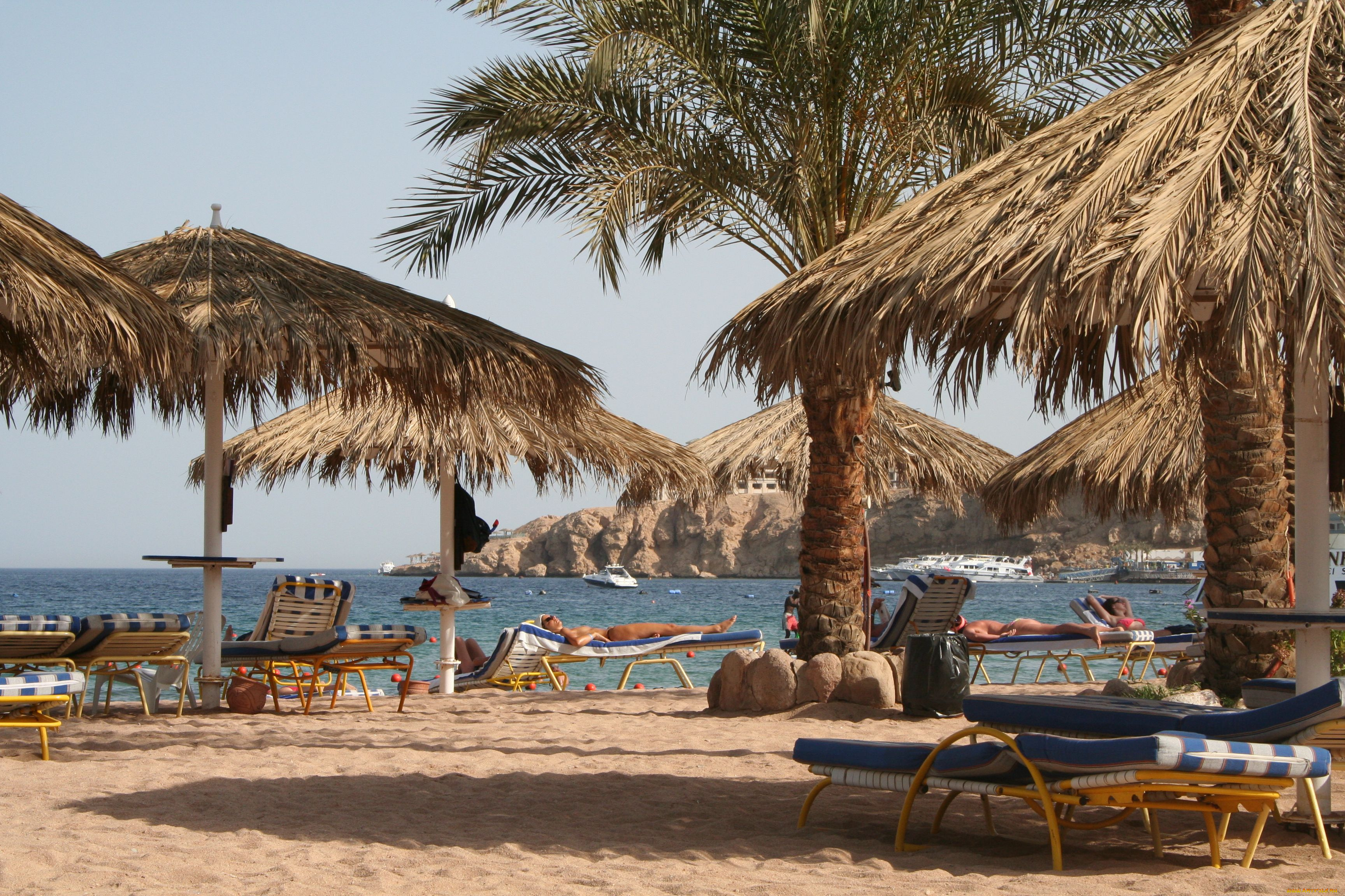 sharm, el, sheikh, природа, тропики, пляж, пальмы, египет