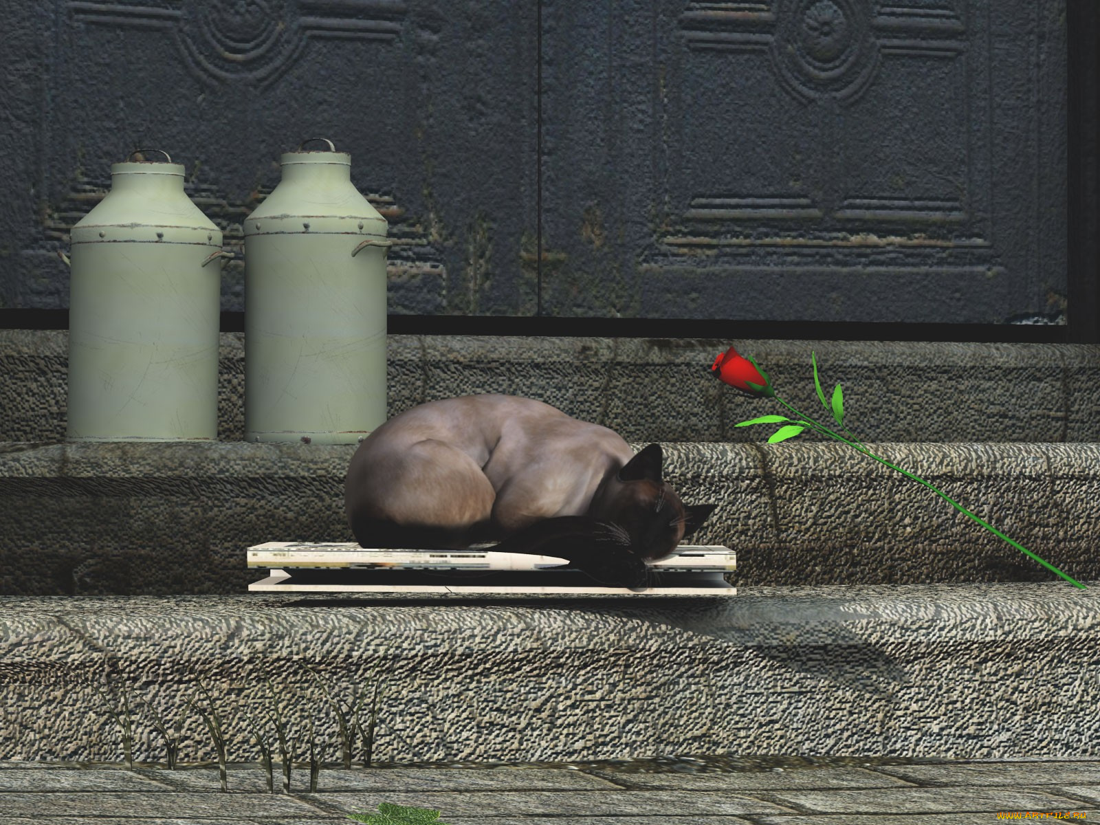 3д, графика, animals, животные, кот