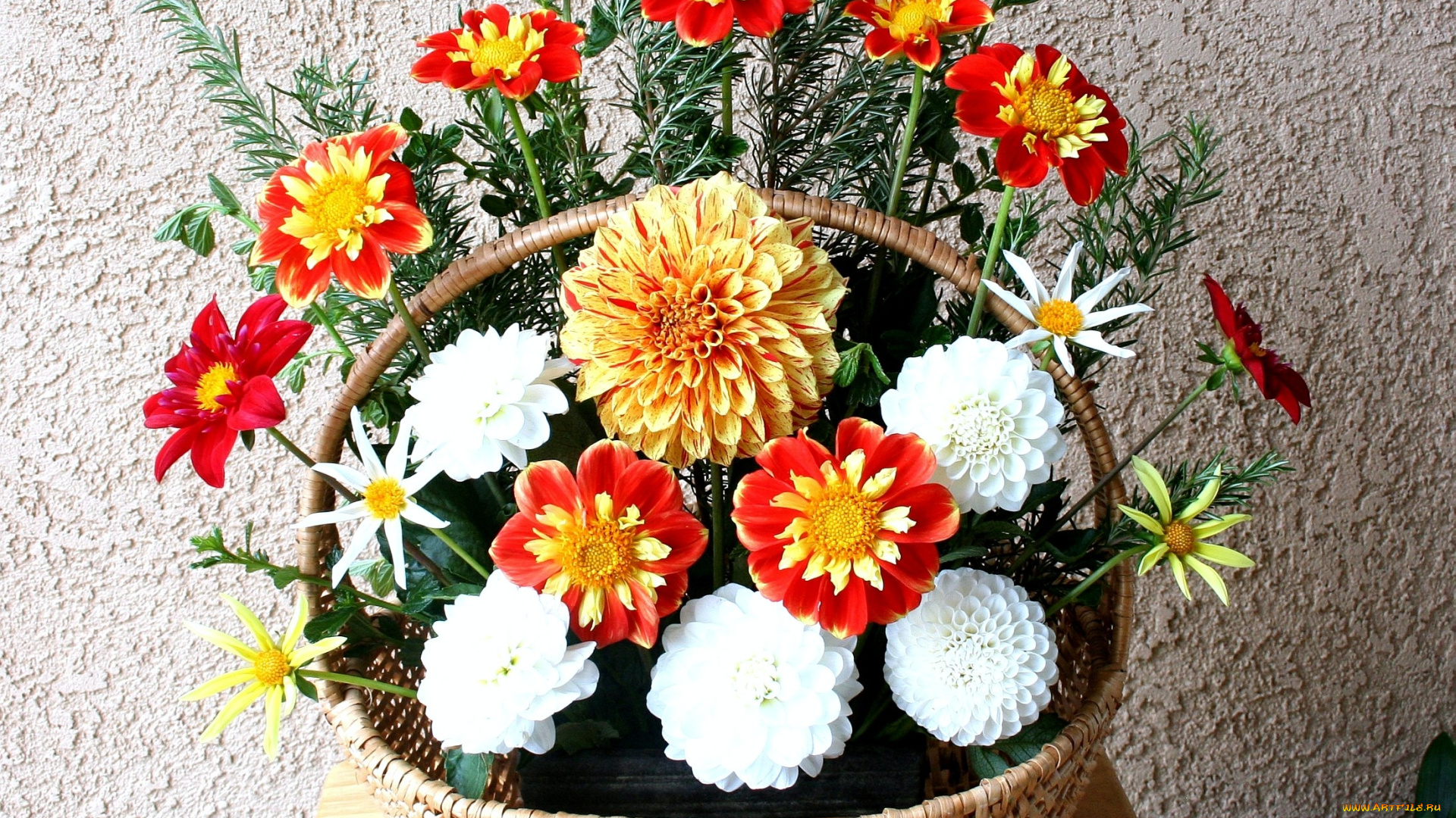 цветы, георгины, композиция, корзина